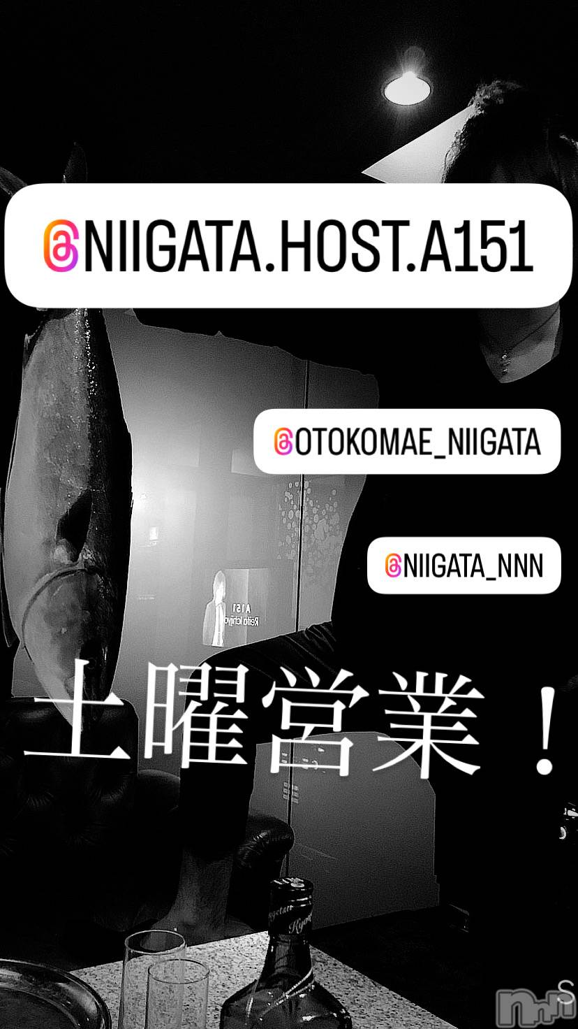 ��Į�ۥ��ȡ��ܡ������С�A151(�����������ݥ���) ��2025ǯ4��5���̥�֥�������������