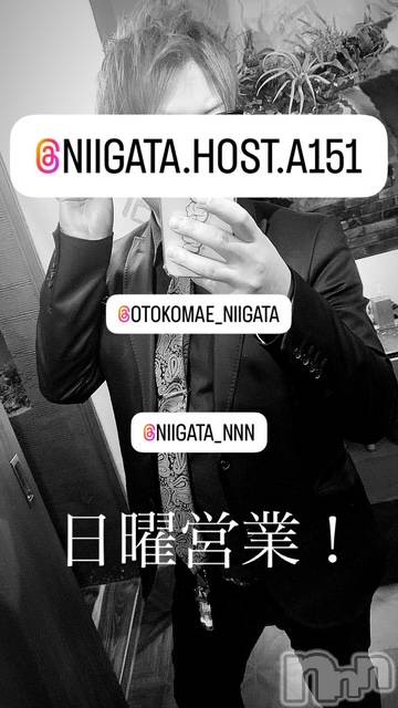 ��Į�ۥ��ȡ��ܡ������С�A151(�����������ݥ���) ��2025ǯ4��6���̥�֥�������������