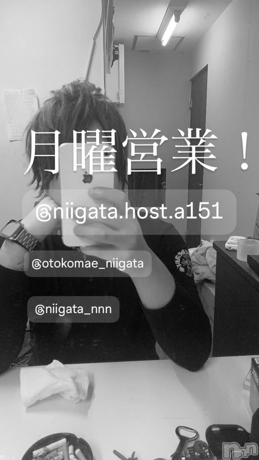 ��Į�ۥ��ȡ��ܡ������С�A151(�����������ݥ���) ��2025ǯ4��7���̥�֥����ַ�������