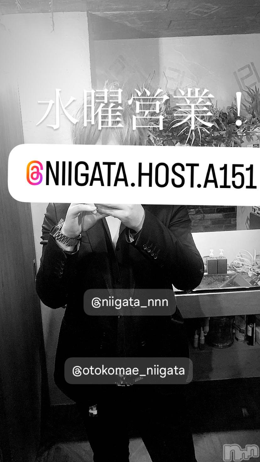 ��Į�ۥ��ȡ��ܡ������С�A151(�����������ݥ���) ��2025ǯ4��16���̥�֥����ֿ�������