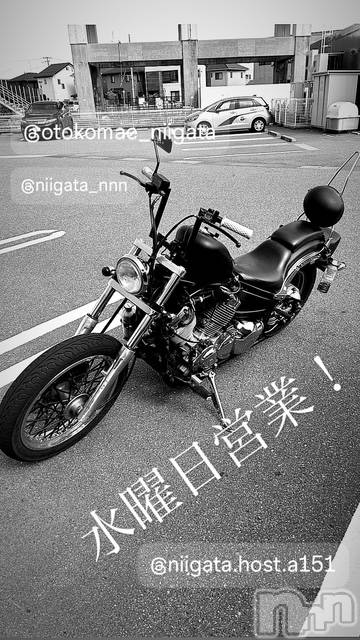 ��Į�ۥ��ȡ��ܡ������С�A151(�����������ݥ���) ��2025ǯ5��7���̥�֥����ֿ�������