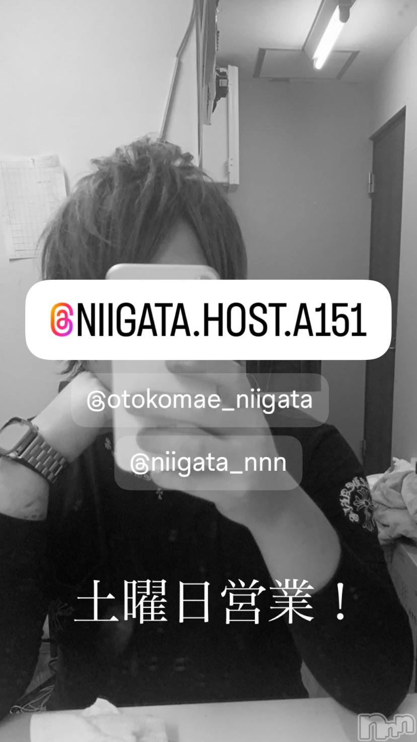 ��Į�ۥ��ȡ��ܡ������С�A151(�����������ݥ���) ��2025ǯ5��10���̥�֥�������������