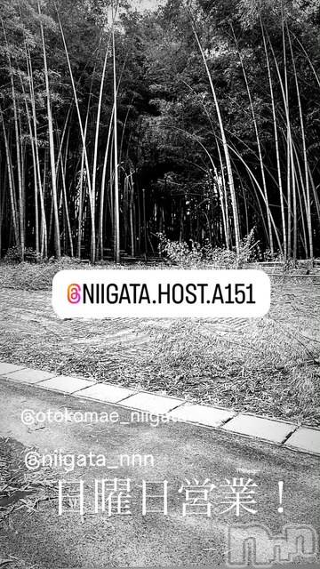 ��Į�ۥ��ȡ��ܡ������С�A151(�����������ݥ���) ��2025ǯ5��18���̥�֥�������������