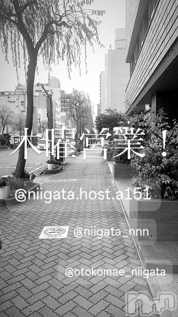 ��Į�ۥ��ȡ��ܡ������С�A151(�����������ݥ���) ��2025ǯ5��22���̥�֥�������������