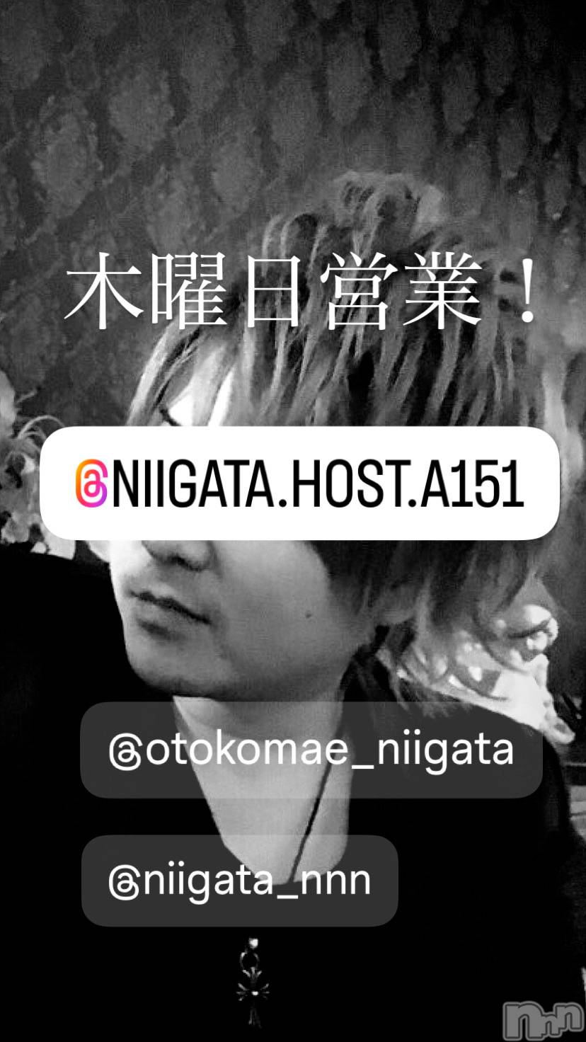 ��Į�ۥ��ȡ��ܡ������С�A151(�����������ݥ���) ��2025ǯ5��29���̥�֥�������������