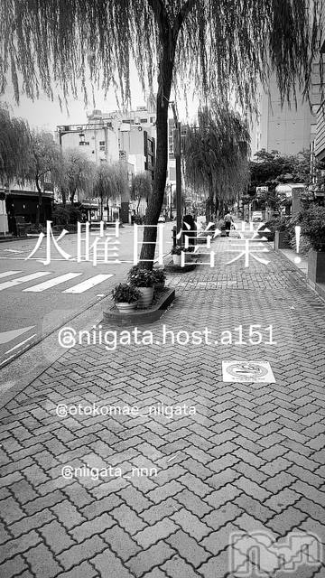 ��Į�ۥ��ȡ��ܡ������С�A151(�����������ݥ���) ��2025ǯ6��4���̥�֥����ֿ�������