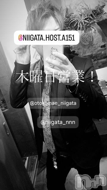 ��Į�ۥ��ȡ��ܡ������С�A151(�����������ݥ���) ��2025ǯ6��5���̥�֥�������������