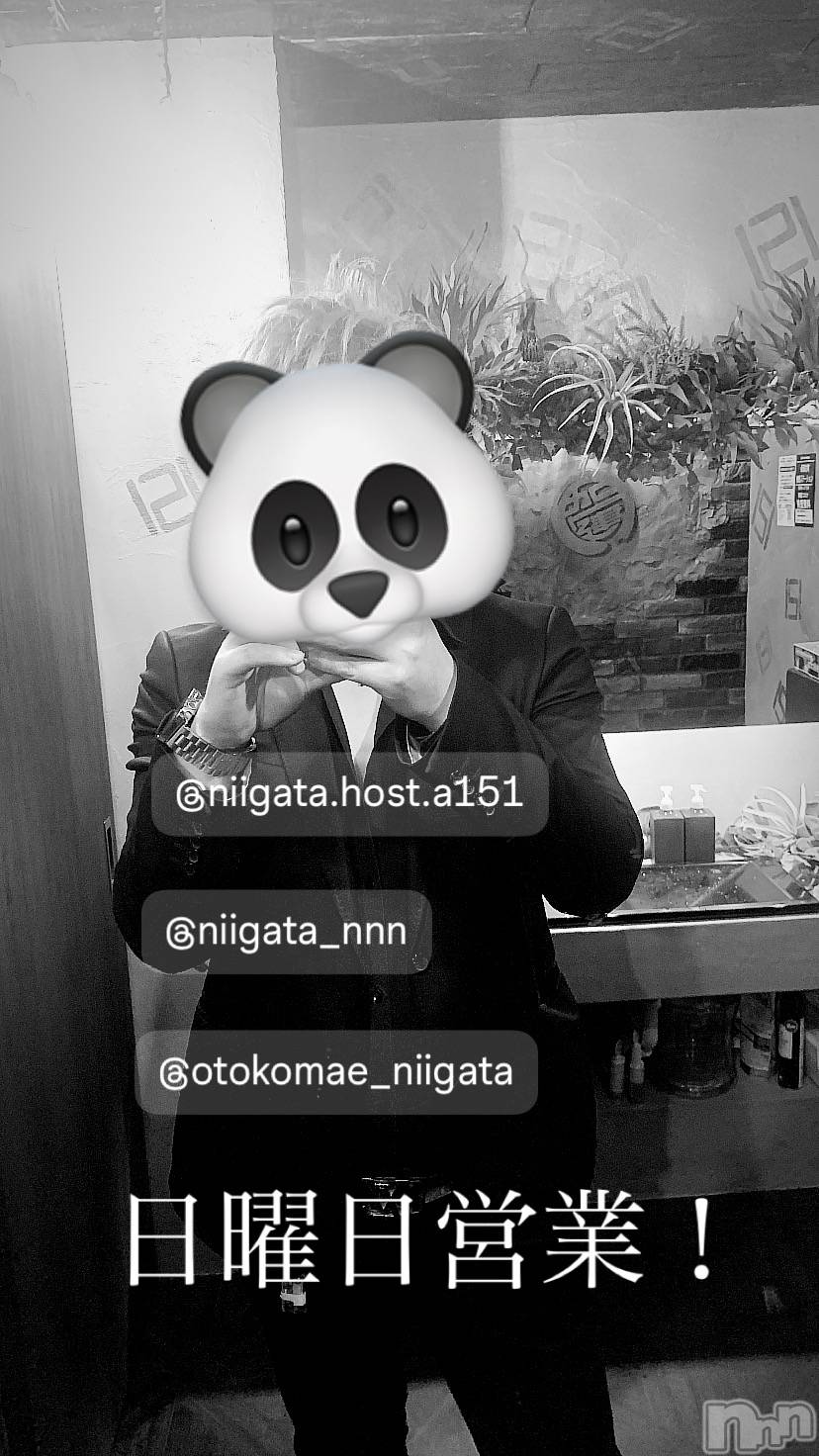 ��Į�ۥ��ȡ��ܡ������С�A151(�����������ݥ���) ��2025ǯ6��8���̥�֥�������������