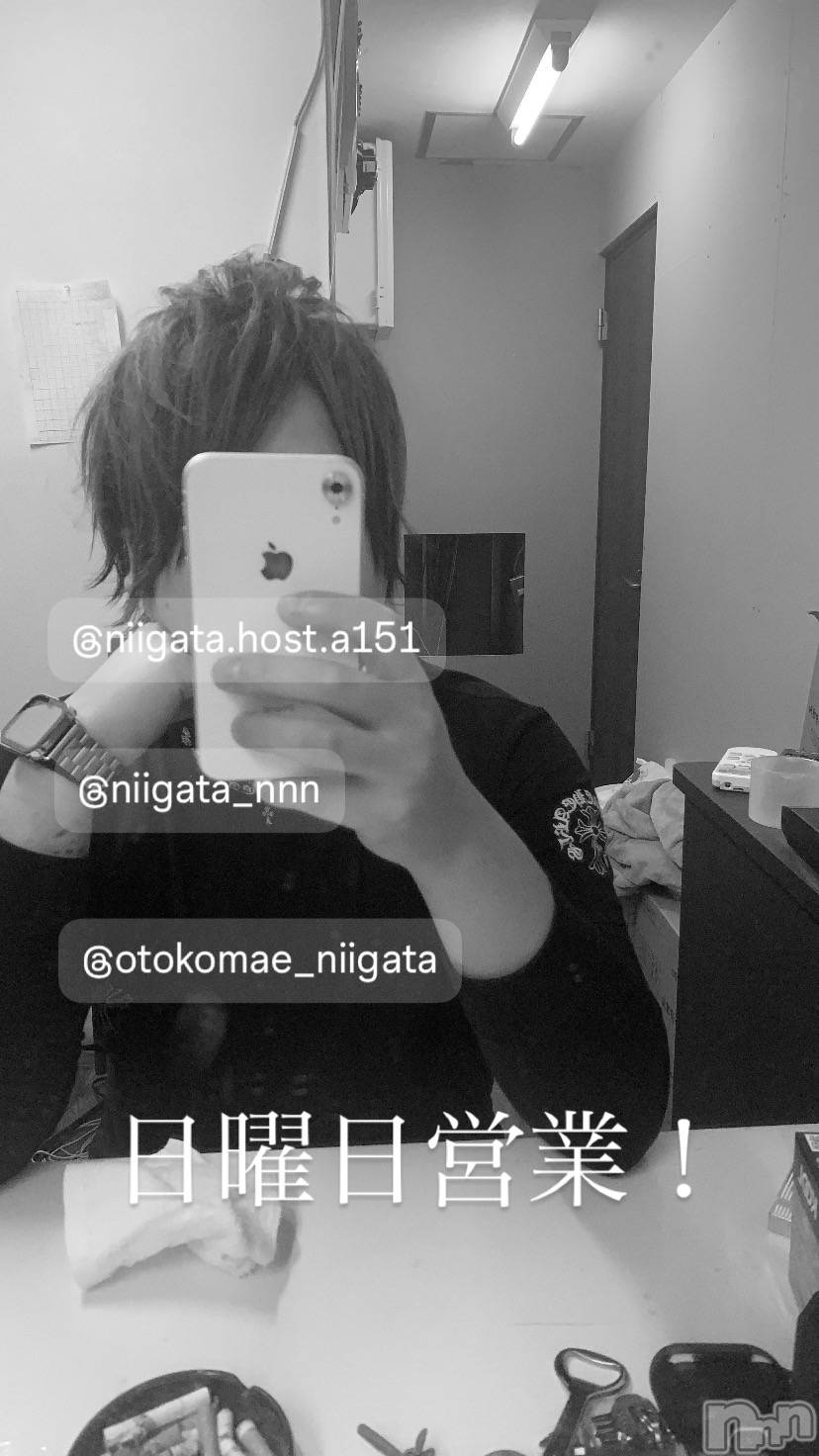 ��Į�ۥ��ȡ��ܡ������С�A151(�����������ݥ���) ��2025ǯ6��15���̥�֥�������������