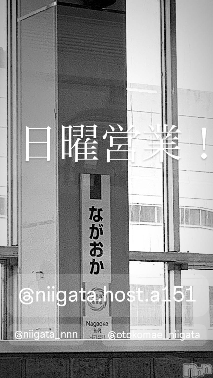 ��Į�ۥ��ȡ��ܡ������С�A151(�����������ݥ���) ��2025ǯ6��22���̥�֥�������������