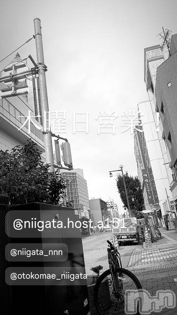 ��Į�ۥ��ȡ��ܡ������С�A151(�����������ݥ���) ��2025ǯ7��3���̥�֥�������������