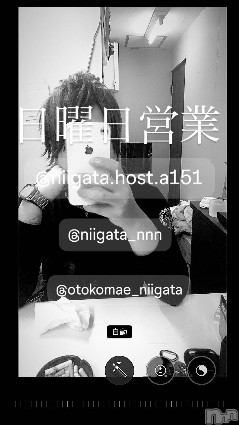 ��Į�ۥ��ȡ��ܡ������С�A151(�����������ݥ���) ��2025ǯ7��6���̥�֥�������������