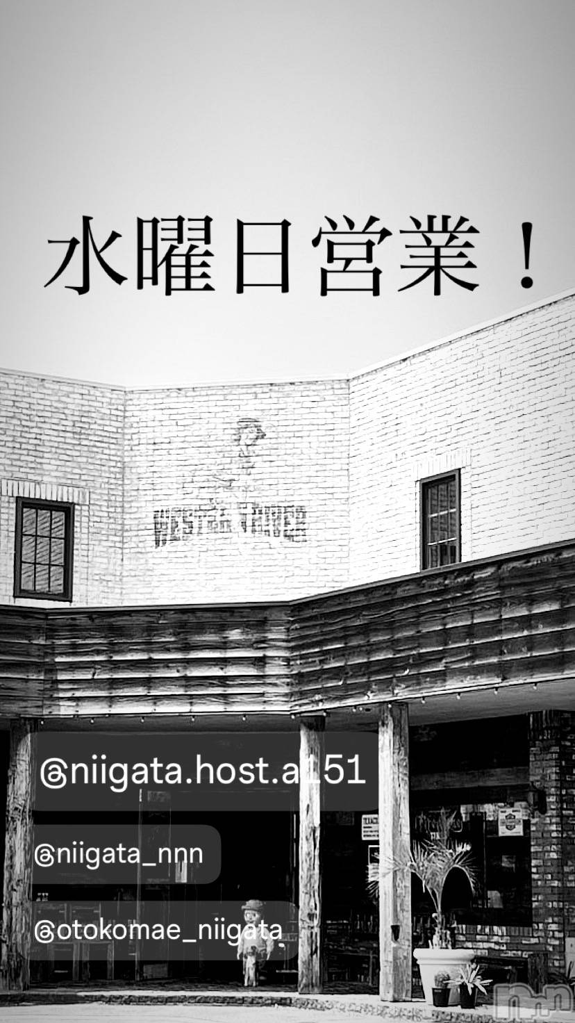 ��Į�ۥ��ȡ��ܡ������С�A151(�����������ݥ���) ��2025ǯ7��9���̥�֥����ֿ�������