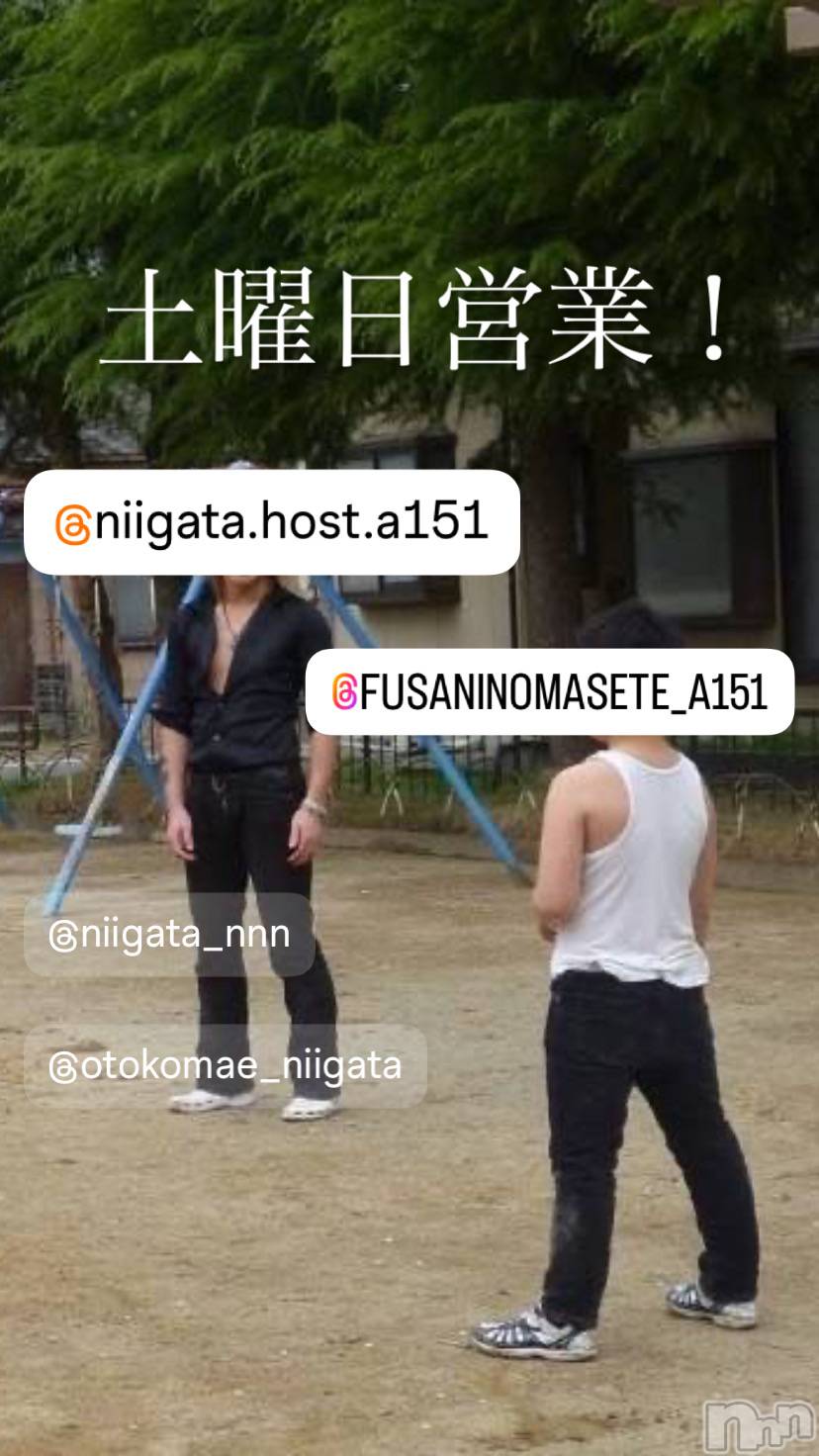 ��Į�ۥ��ȡ��ܡ������С�A151(�����������ݥ���) ��2025ǯ7��12���̥�֥�������������