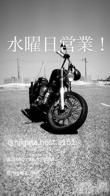 ��Į�ۥ��ȡ��ܡ������С�A151(�����������ݥ���) ��2025ǯ7��16���̥�֥����ֿ�������