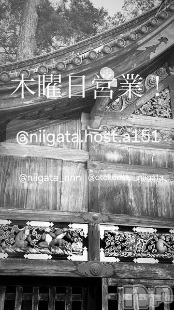 ��Į�ۥ��ȡ��ܡ������С�A151(�����������ݥ���) ��2025ǯ8��2���̥�֥�������������