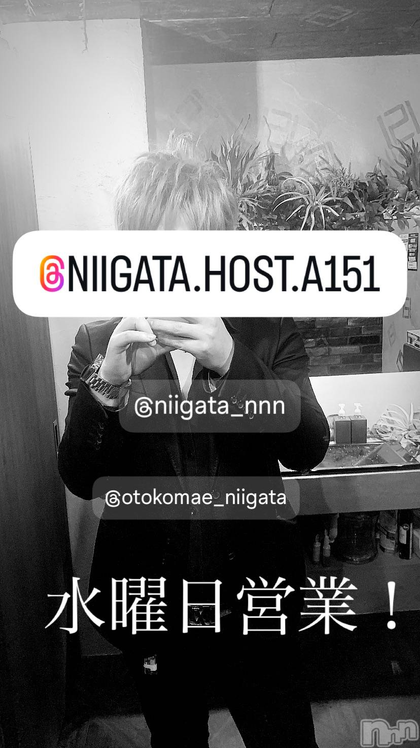 ��Į�ۥ��ȡ��ܡ������С�A151(�����������ݥ���) ��2025ǯ8��6���̥�֥����ֿ�������