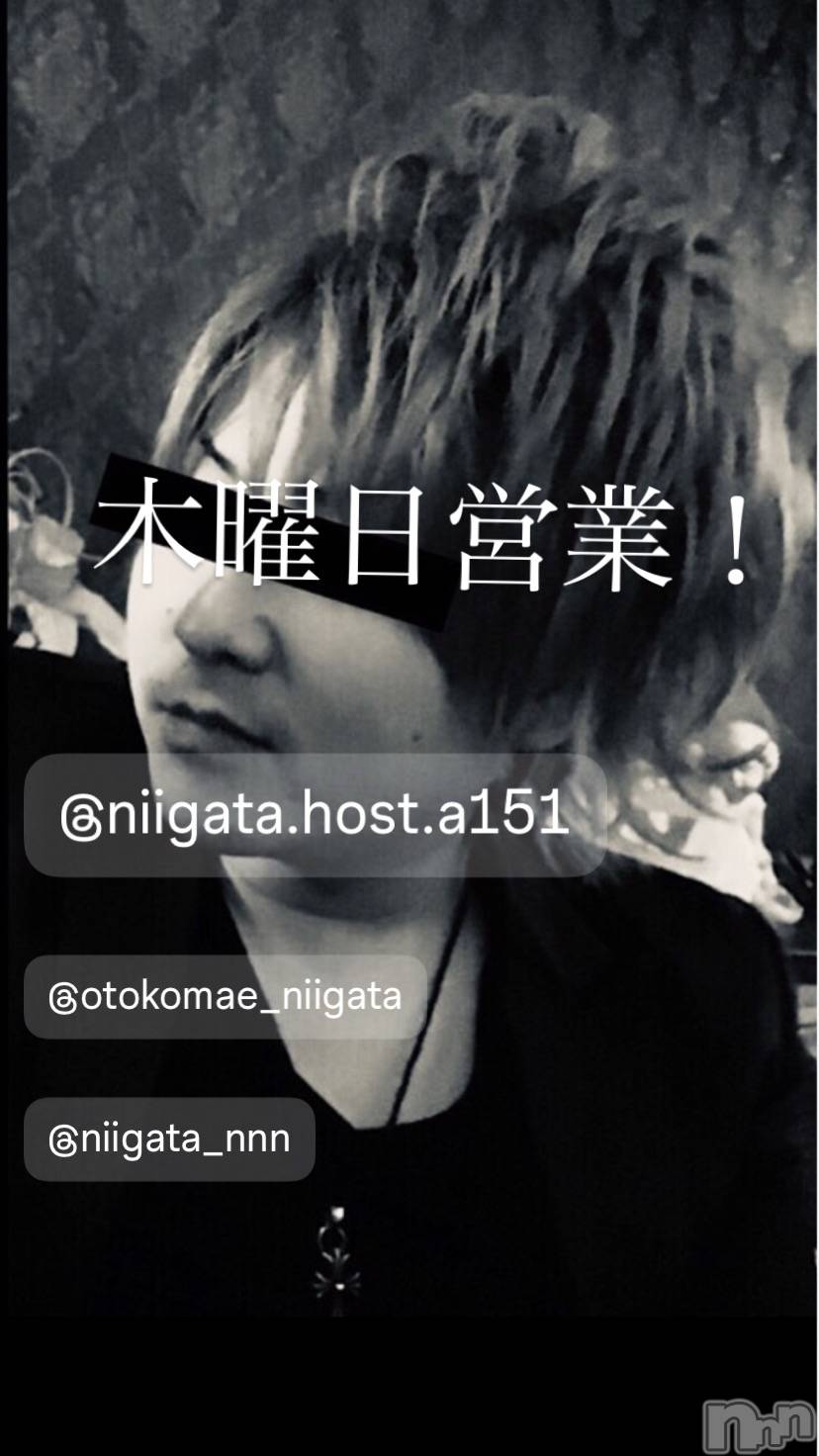 ��Į�ۥ��ȡ��ܡ������С�A151(�����������ݥ���) ��2025ǯ8��7���̥�֥�������������