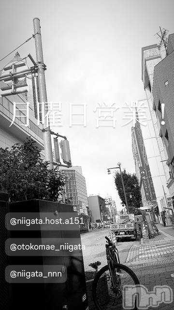 ��Į�ۥ��ȡ��ܡ������С�A151(�����������ݥ���) ��2025ǯ8��18���̥�֥����ַ�������