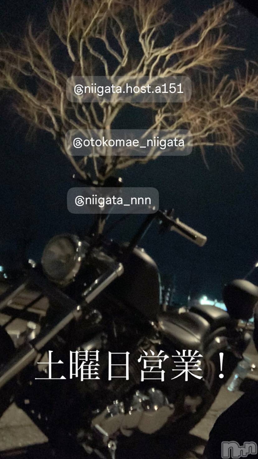 ��Į�ۥ��ȡ��ܡ������С�A151(�����������ݥ���) ��2025ǯ8��30���̥�֥�������������