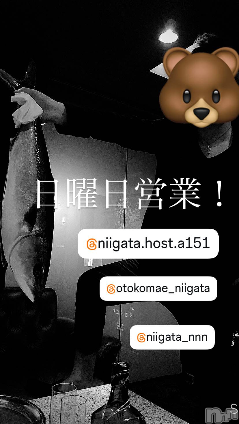 ��Į�ۥ��ȡ��ܡ������С�A151(�����������ݥ���) ��2025ǯ9��7���̥�֥�������������