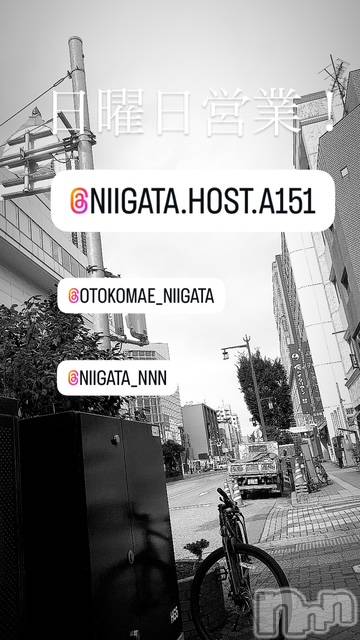 ��Į�ۥ��ȡ��ܡ������С�A151(�����������ݥ���) ��2025ǯ9��14���̥�֥�������������