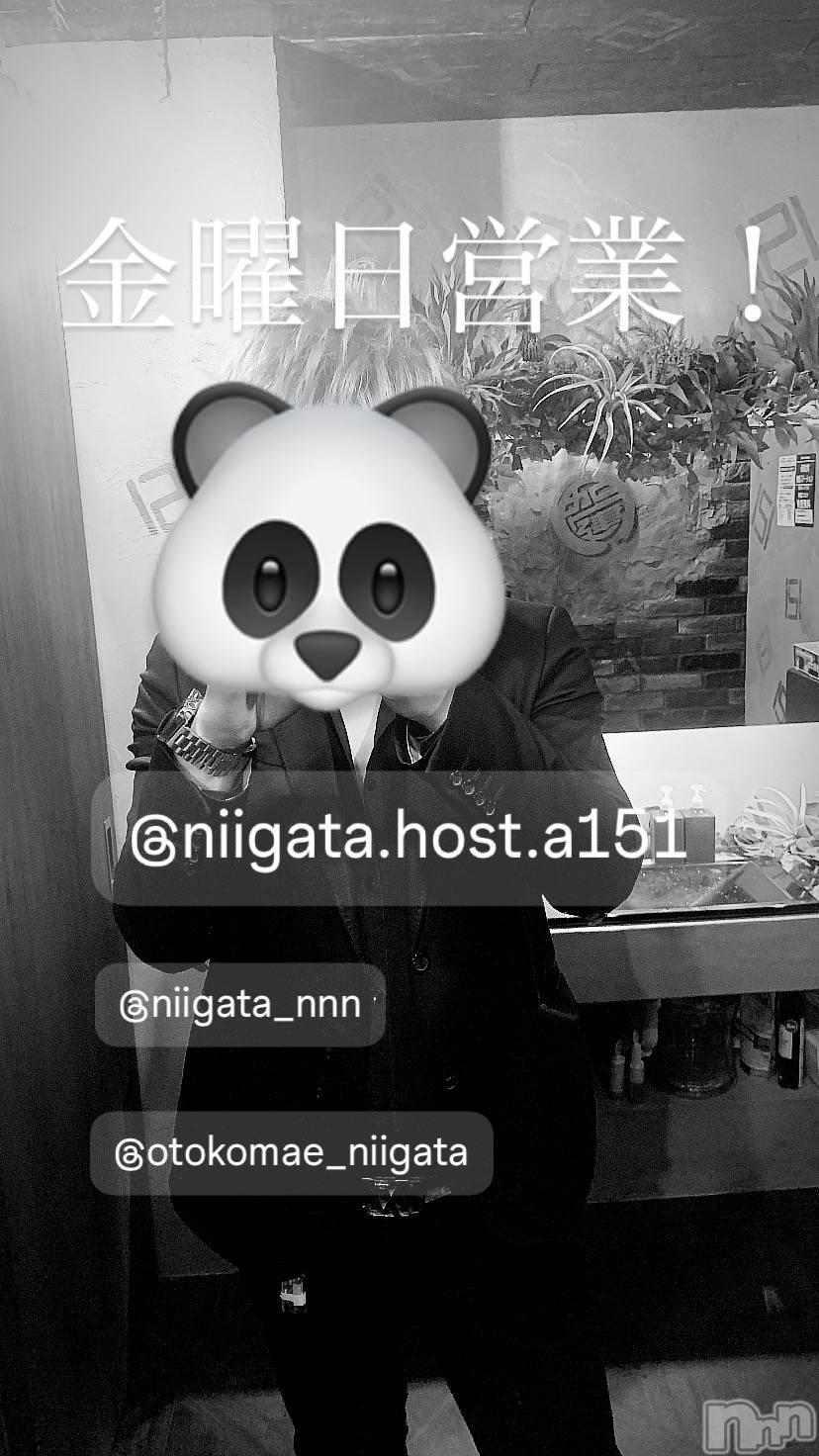 ��Į�ۥ��ȡ��ܡ������С�A151(�����������ݥ���) ��2025ǯ9��19���̥�֥����ֶ�������