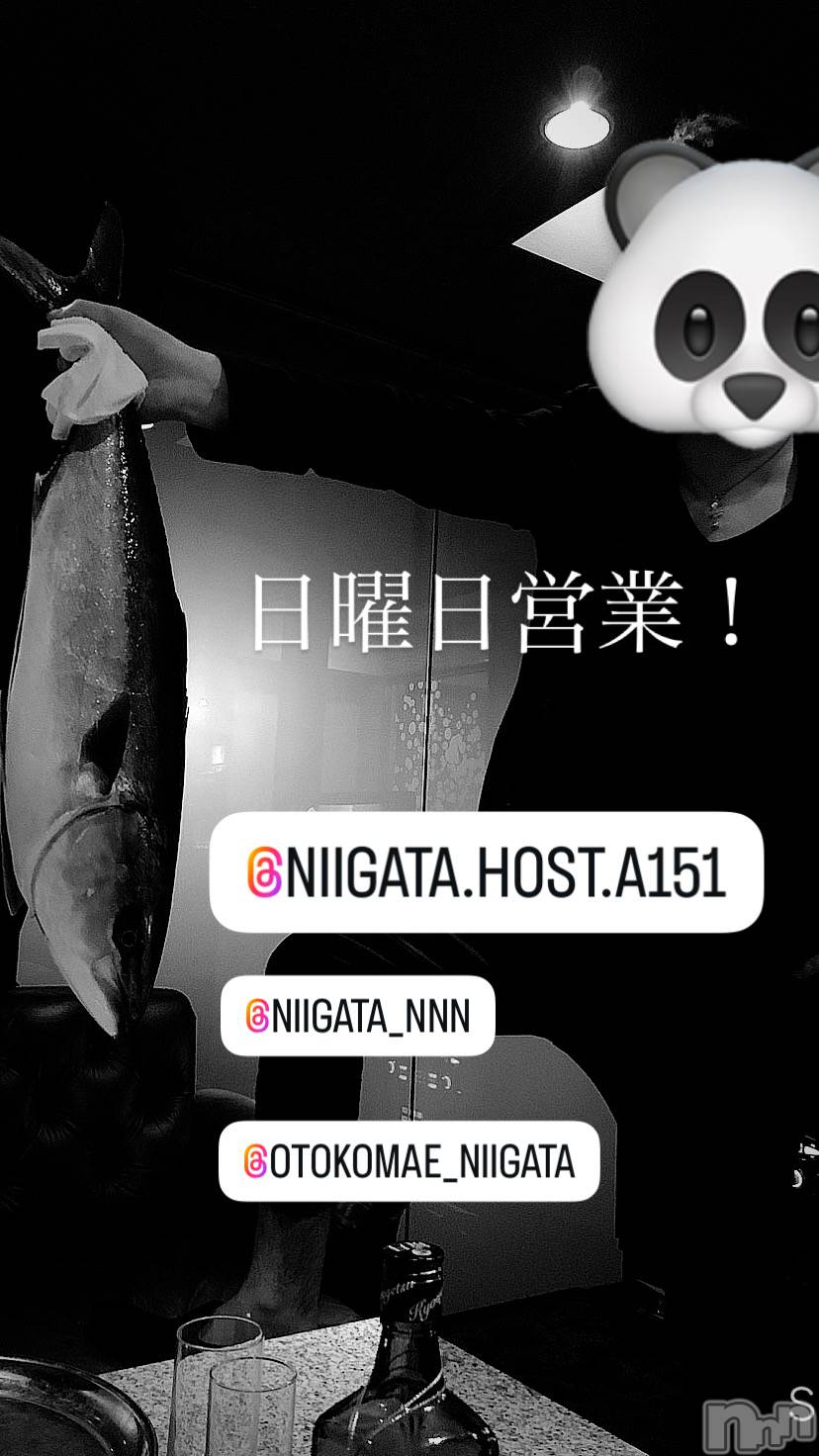 ��Į�ۥ��ȡ��ܡ������С�A151(�����������ݥ���) ��2025ǯ9��21���̥�֥�������������