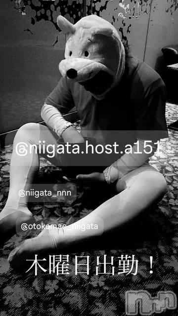 ��Į�ۥ��ȡ��ܡ������С�A151(�����������ݥ���) ��2025ǯ9��25���̥�֥�������������