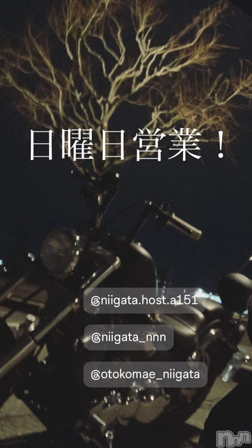 ��Į�ۥ��ȡ��ܡ������С�A151(�����������ݥ���) ��2025ǯ9��28���̥�֥�������������