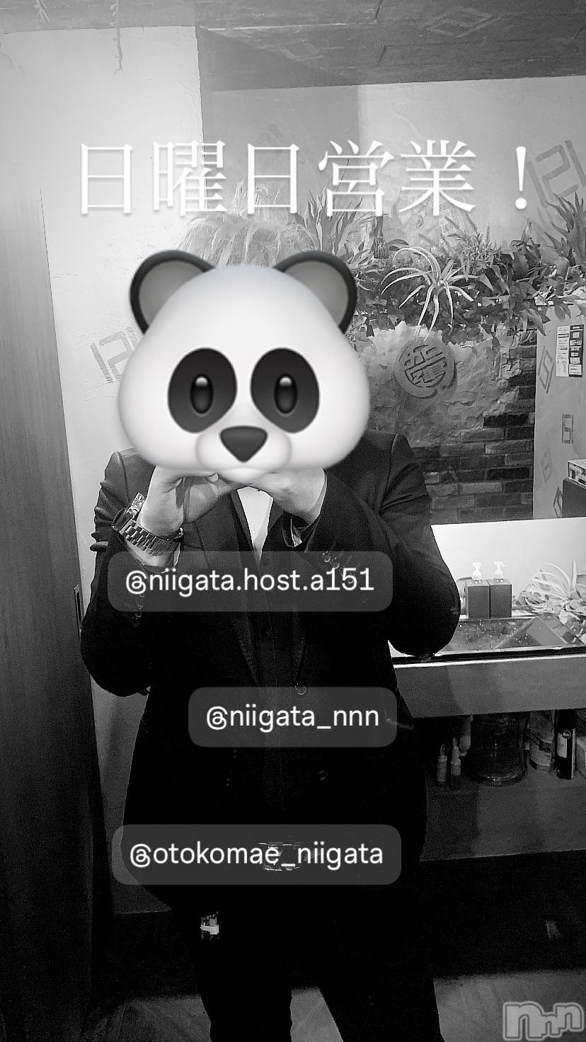 ��Į�ۥ��ȡ��ܡ������С�A151(�����������ݥ���) ��2025ǯ10��5���̥�֥�������������