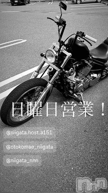 ��Į�ۥ��ȡ��ܡ������С�A151(�����������ݥ���) ��2025ǯ10��19���̥�֥�������������