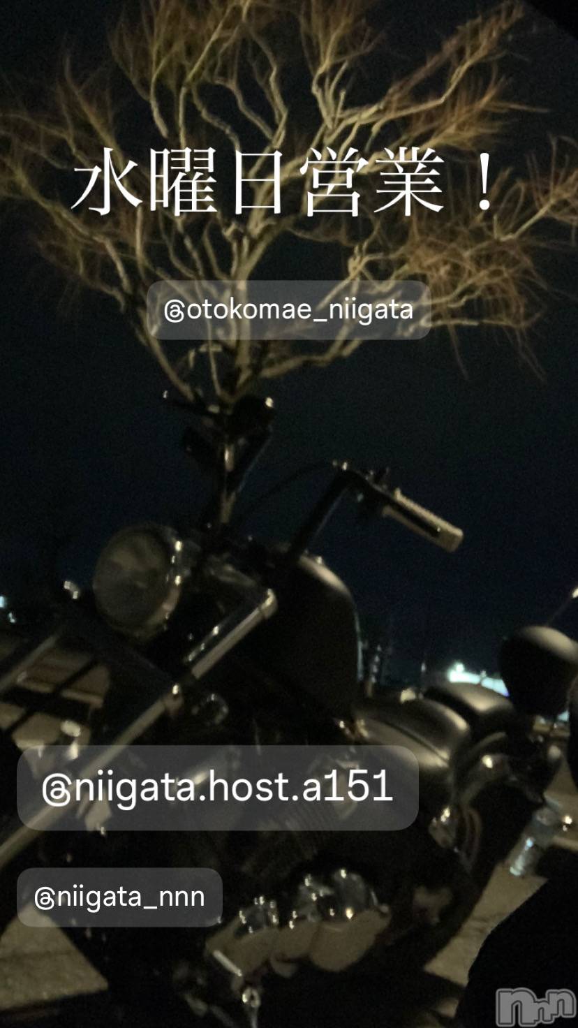 ��Į�ۥ��ȡ��ܡ������С�A151(�����������ݥ���) ��2025ǯ11��12���̥�֥����ֿ�������