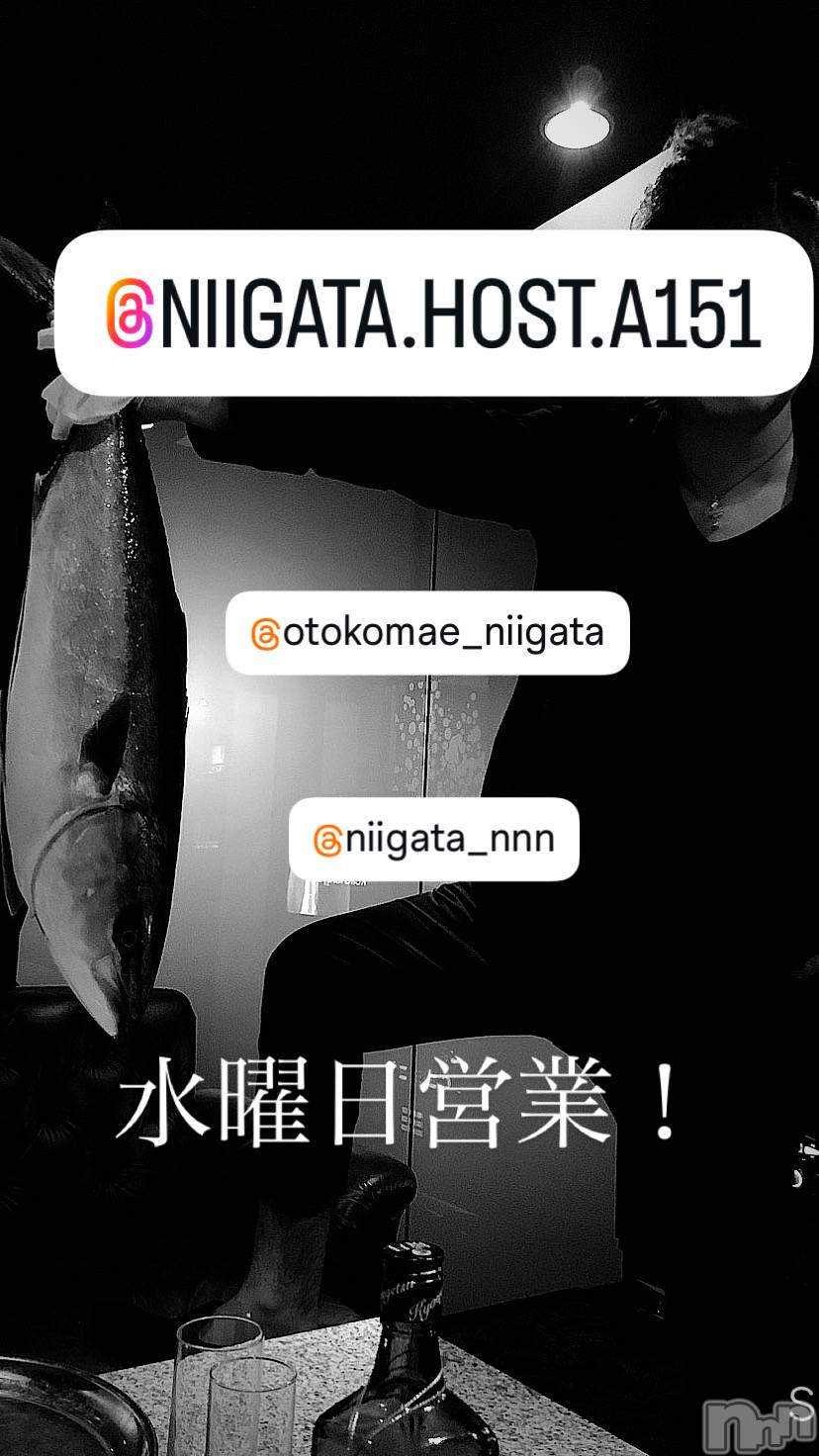 ��Į�ۥ��ȡ��ܡ������С�A151(�����������ݥ���) ��2025ǯ11��19���̥�֥����ֿ�������