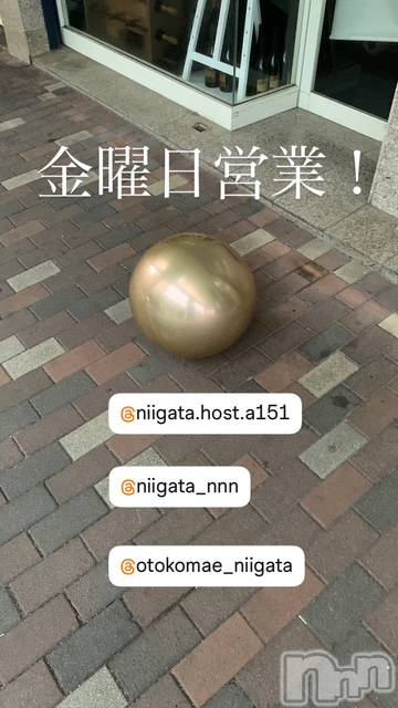 ��Į�ۥ��ȡ��ܡ������С�A151(�����������ݥ���) ��2025ǯ11��21���̥�֥����ֶ�������