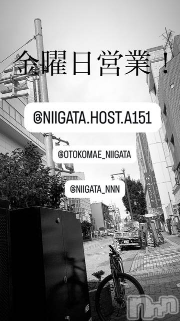 ��Į�ۥ��ȡ��ܡ������С�A151(�����������ݥ���) ��2025ǯ12��5���̥�֥����ֶ�������