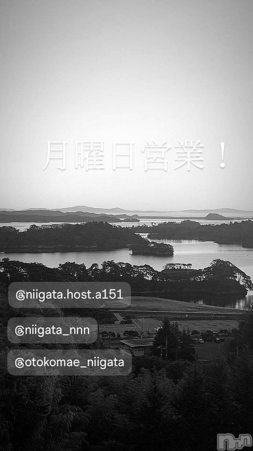 ��Į�ۥ��ȡ��ܡ������С�A151(�����������ݥ���) ��2026ǯ1��5���̥�֥����ַ�������