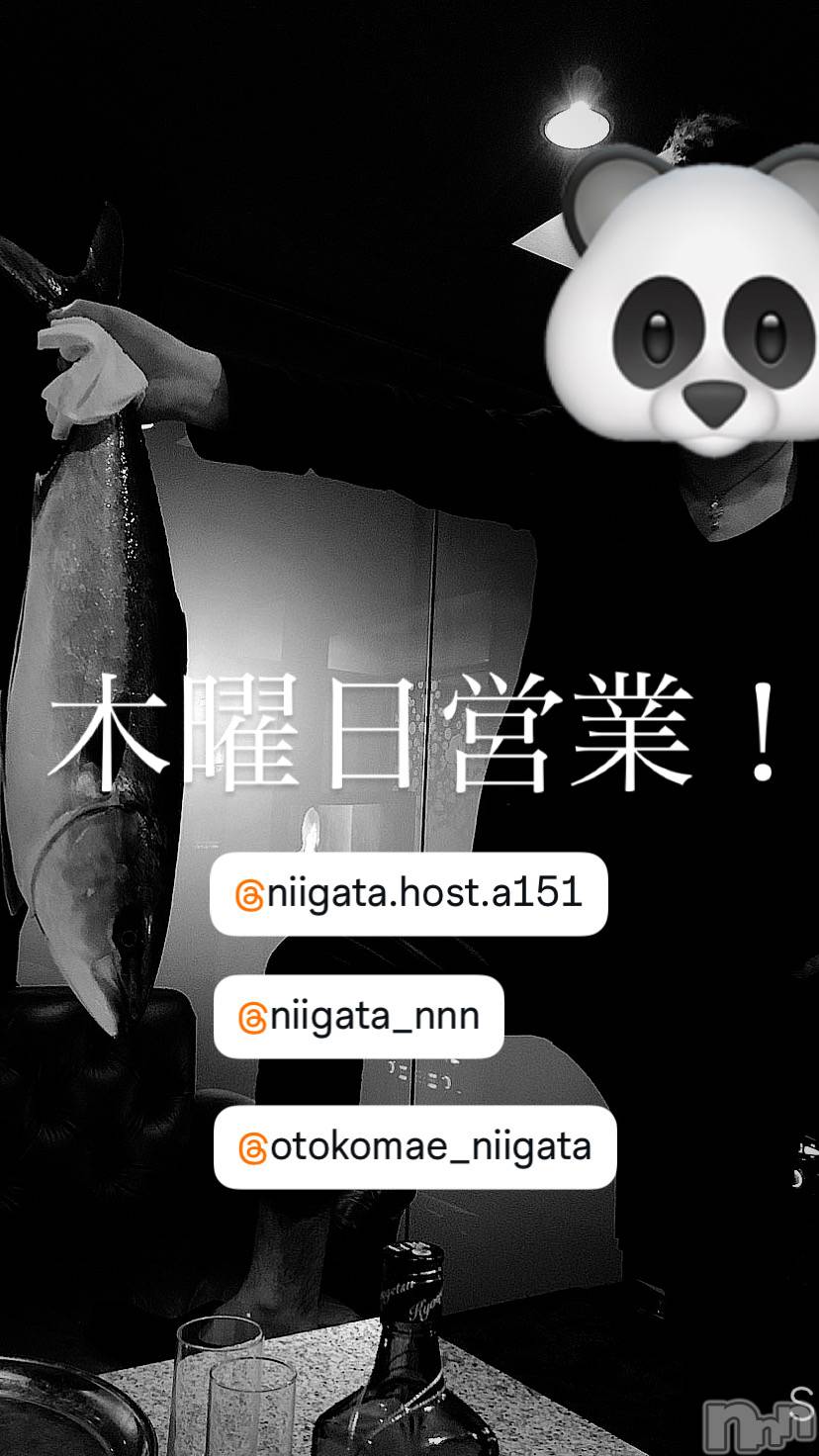 ��Į�ۥ��ȡ��ܡ������С�A151(�����������ݥ���) ��2026ǯ1��8���̥�֥�������������