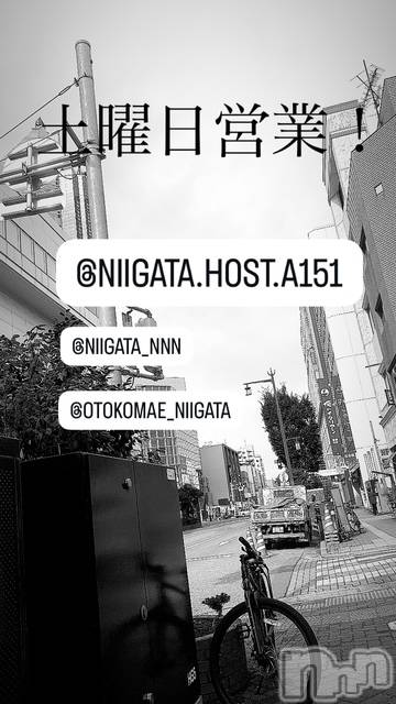 ��Į�ۥ��ȡ��ܡ������С�A151(�����������ݥ���) ��2026ǯ1��10���̥�֥�������������