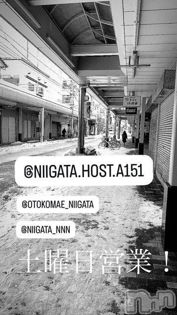 ��Į�ۥ��ȡ��ܡ������С�A151(�����������ݥ���) ��2026ǯ1��17���̥�֥�������������