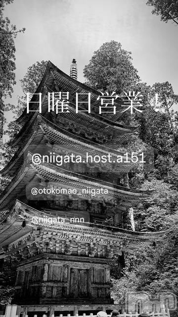 ��Į�ۥ��ȡ��ܡ������С�A151(�����������ݥ���) ��2026ǯ1��18���̥�֥�������������