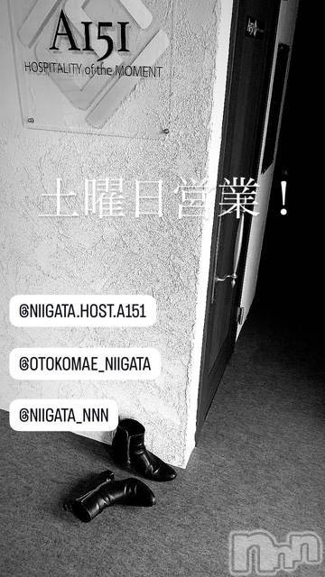 ��Į�ۥ��ȡ��ܡ������С�A151(�����������ݥ���) ��2026ǯ1��31���̥�֥�������������