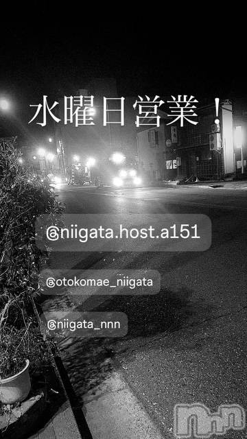 ��Į�ۥ��ȡ��ܡ������С�A151(�����������ݥ���) ��2026ǯ2��4���̥�֥����ֿ�������