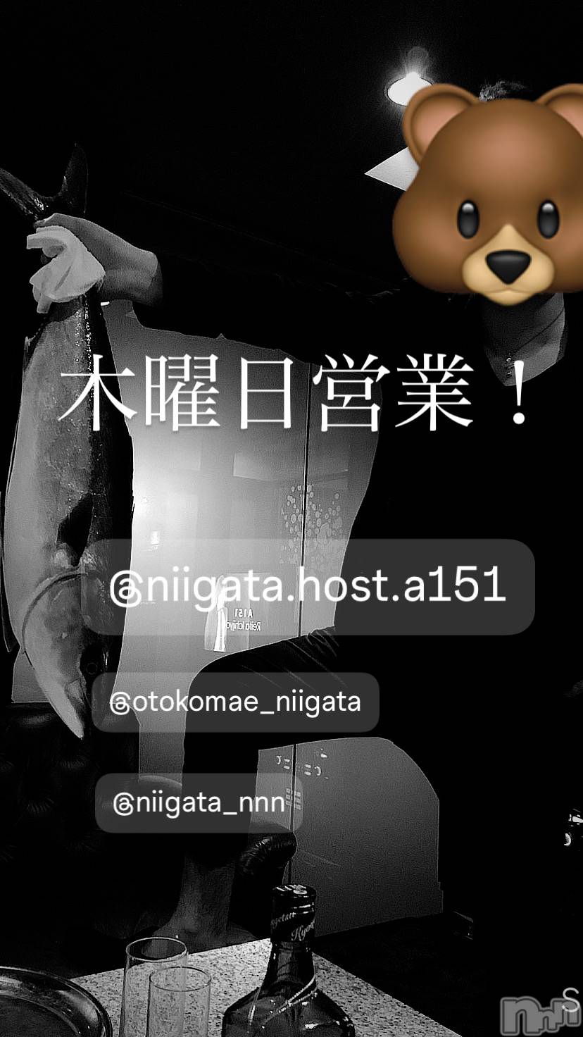 ��Į�ۥ��ȡ��ܡ������С�A151(�����������ݥ���) ��2026ǯ2��5���̥�֥�������������