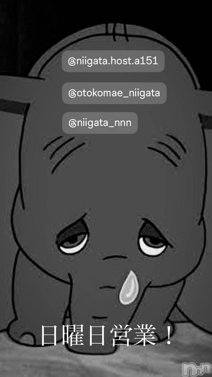 ��Į�ۥ��ȡ��ܡ������С�A151(�����������ݥ���) ��2026ǯ2��15���̥�֥�������������