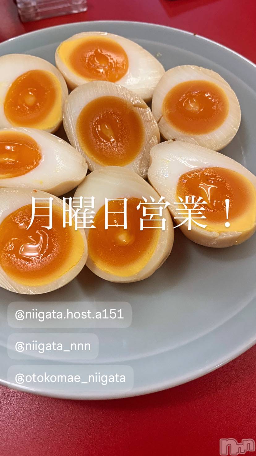 ��Į�ۥ��ȡ��ܡ������С�A151(�����������ݥ���) ��2026ǯ2��16���̥�֥����ַ�������