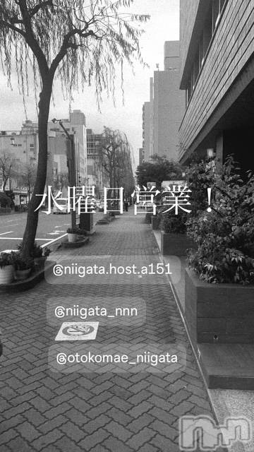 ��Į�ۥ��ȡ��ܡ������С�A151(�����������ݥ���) ��2026ǯ3��25���̥�֥����ֿ�������