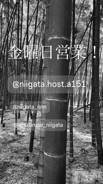 ��Į�ۥ��ȡ��ܡ������С�A151(�����������ݥ���) ��2026ǯ3��27���̥�֥����ֶ�������