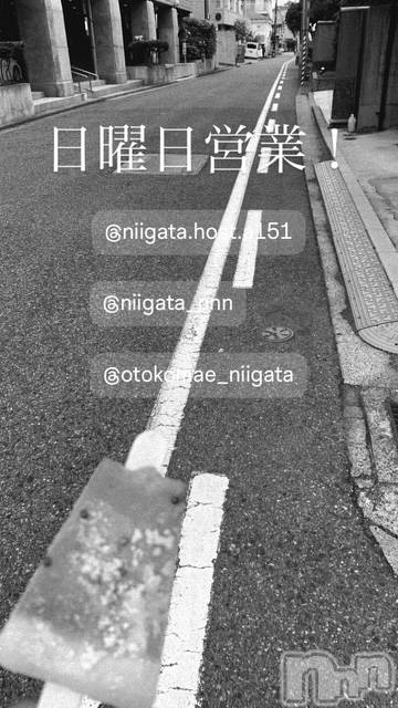 ��Į�ۥ��ȡ��ܡ������С�A151(�����������ݥ���) ��2026ǯ3��29���̥�֥�������������