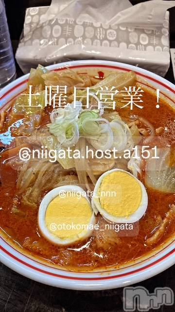 ��Į�ۥ��ȡ��ܡ������С�A151(�����������ݥ���) ��2026ǯ4��4���̥�֥�������������